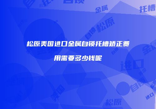 松原美国进口金属自锁托槽矫正费用需要多少钱呢